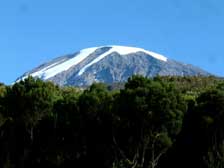 7 Days Kilimanjaro Umbwe Route