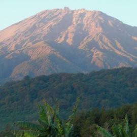 4 Days / 3 Night - Mount Meru