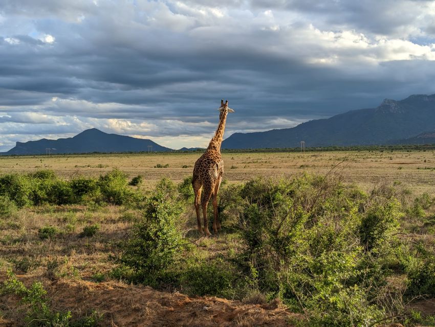 7 Days Best of Kenya Safari